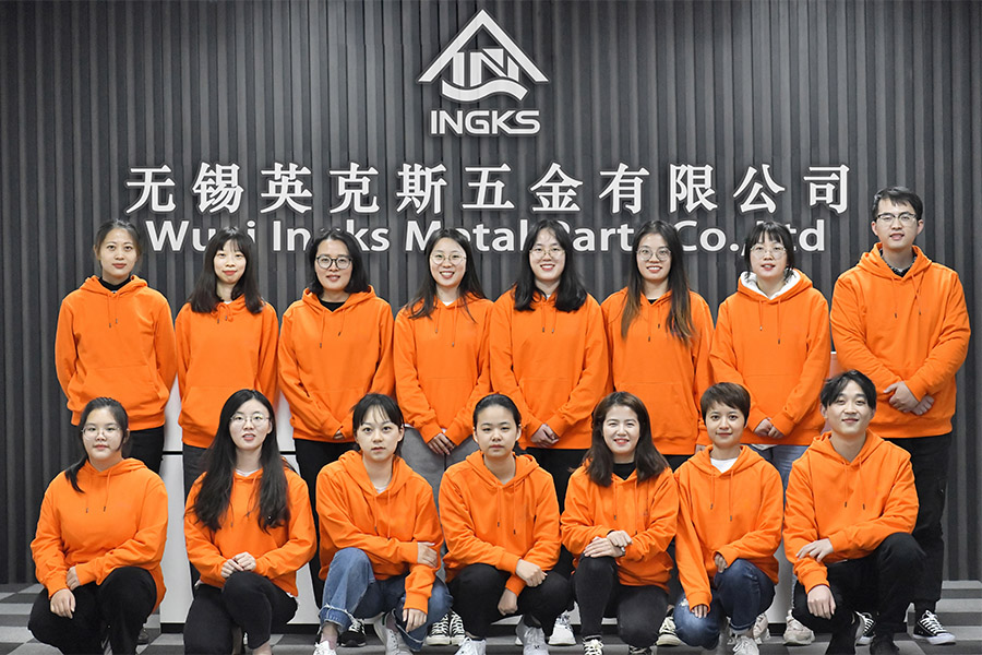 GRUPPO DI LAVORO PROFESSIONALE DI WUXI INGKS